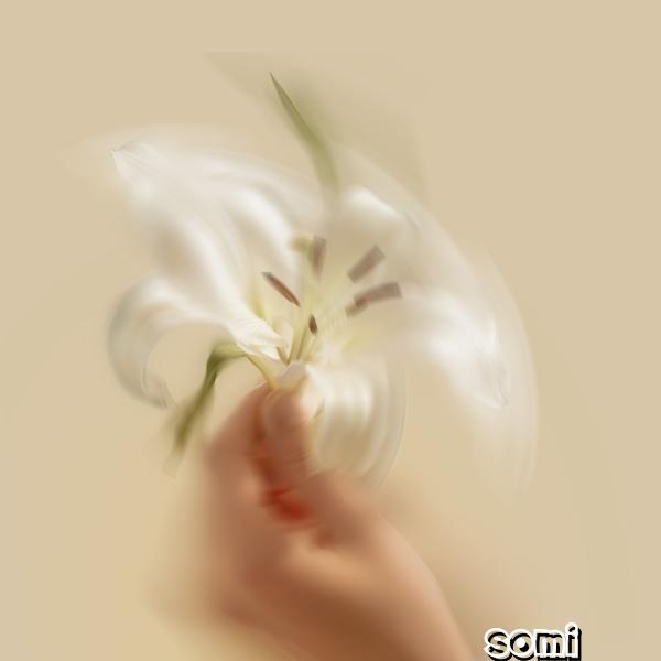 Image Cover